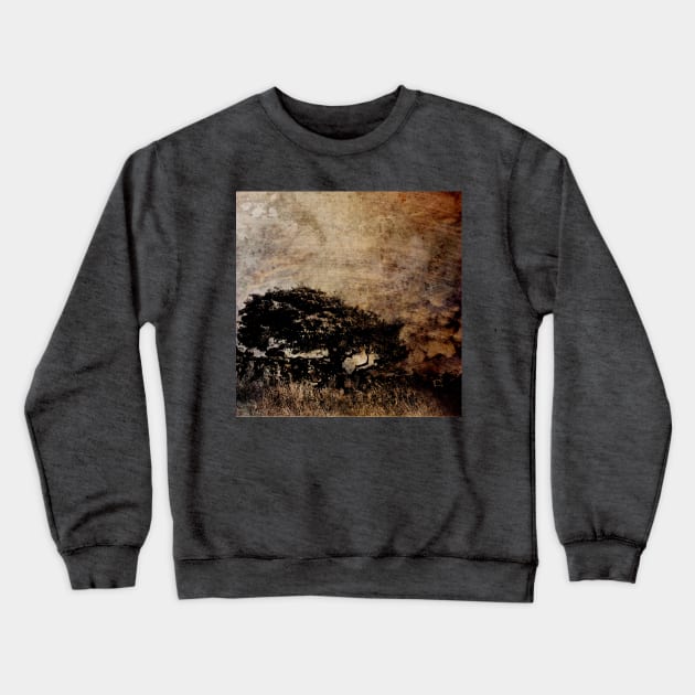 Resilience Crewneck Sweatshirt by WesternExposure